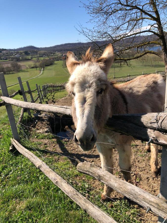 Vila Cascina Coste Roppolo Exteriér fotografie