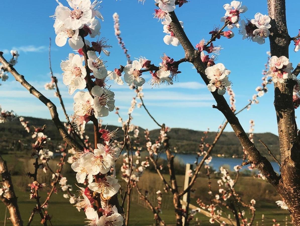 Vila Cascina Coste Roppolo Exteriér fotografie