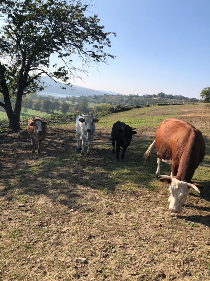 Vila Cascina Coste Roppolo Exteriér fotografie